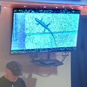 Bar scene with Background Artflow screen on the left